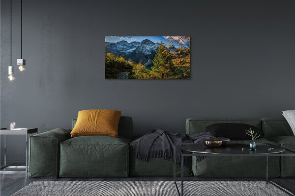 Obraz canvas jazierka salašnícky 100x50 cm