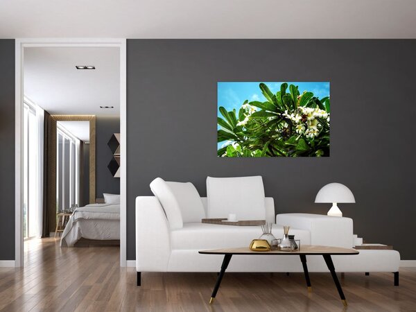 Obraz - Plumeria (90x60 cm)