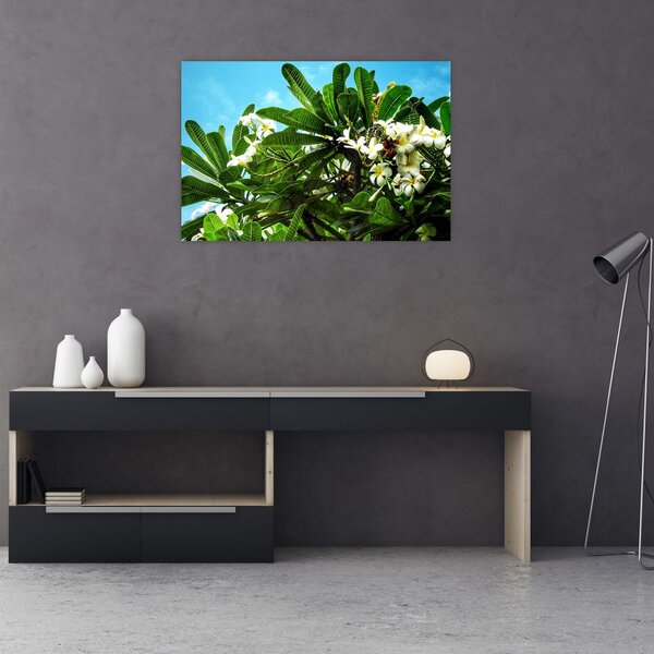Obraz - Plumeria (90x60 cm)
