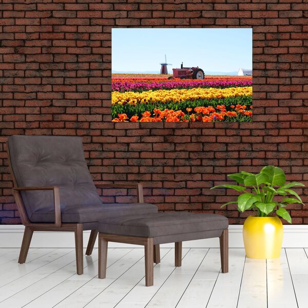 Obraz tulipánové farmy (90x60 cm)