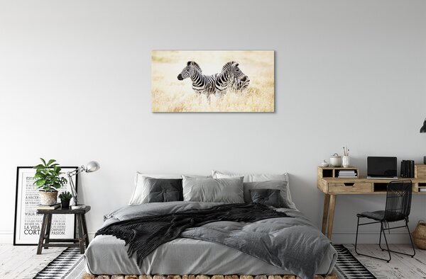 Obraz na plátne zebra box 100x50 cm