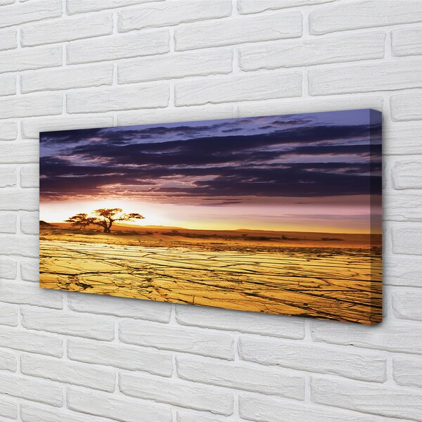 Obraz canvas Mraky strom neba 100x50 cm