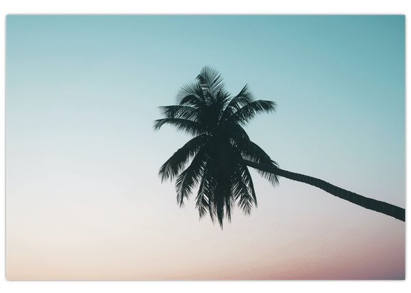 Obraz - Palma na Bali (90x60 cm)