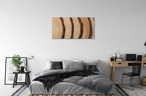 Obraz canvas plátky obilia dreva 100x50 cm