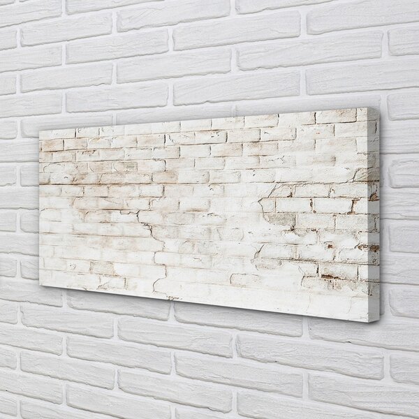 Obraz canvas Tehlové múry wall 100x50 cm