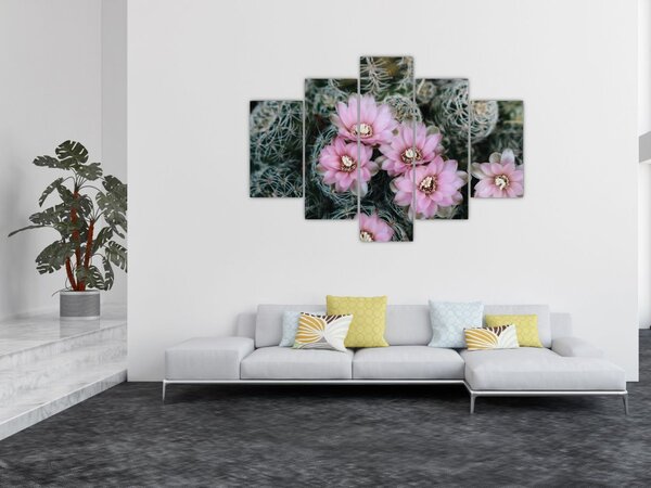 Obraz kvet kaktusu (150x105 cm)