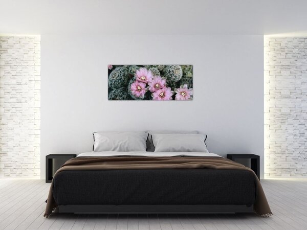 Obraz kvet kaktusu (120x50 cm)