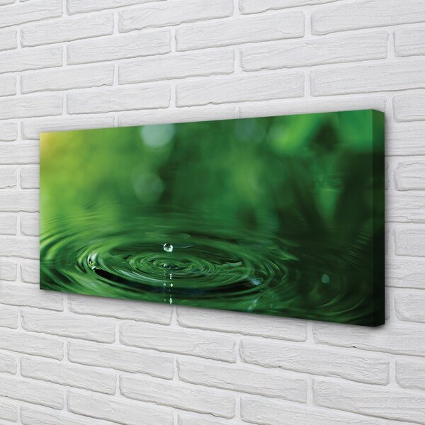 Obraz canvas Kvapka vody close-up 100x50 cm
