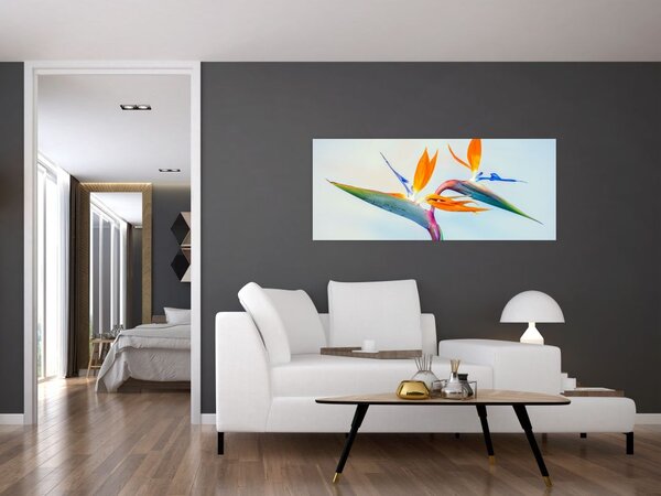 Obraz kvetu Strelícia (120x50 cm)