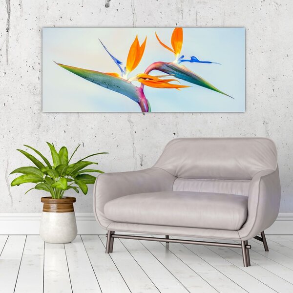 Obraz kvetu Strelícia (120x50 cm)
