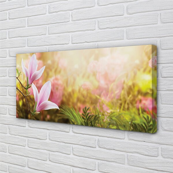 Obraz canvas Magnólia strom slnko 100x50 cm
