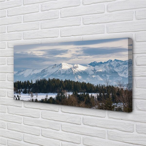 Obraz canvas horské zimné 100x50 cm