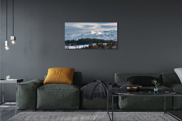 Obraz canvas horské zimné 100x50 cm