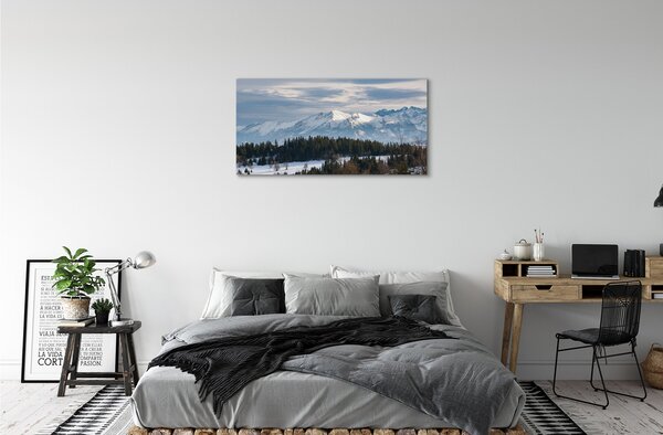 Obraz canvas horské zimné 100x50 cm