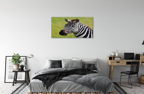 Obraz na plátne zebra 100x50 cm