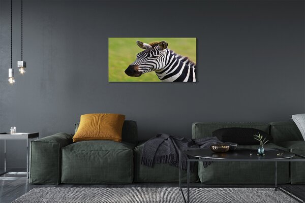 Obraz na plátne zebra 100x50 cm