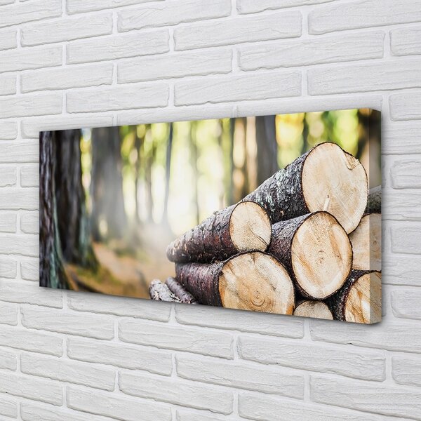 Obraz canvas Drevo prales prírode 100x50 cm
