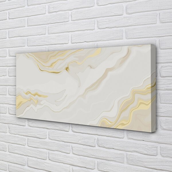 Obraz canvas Marble kameň škvrny 100x50 cm