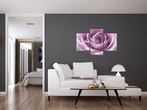 Obraz detailu kvetu ruže (90x60 cm)