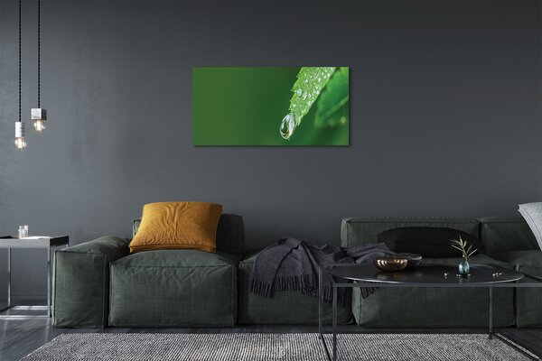Obraz canvas Kvapka vody lístia 100x50 cm