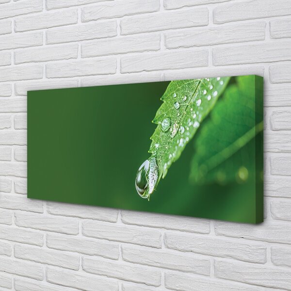 Obraz canvas Kvapka vody lístia 100x50 cm