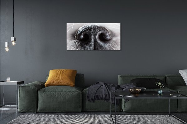 Obraz na plátne psie ňufák 100x50 cm