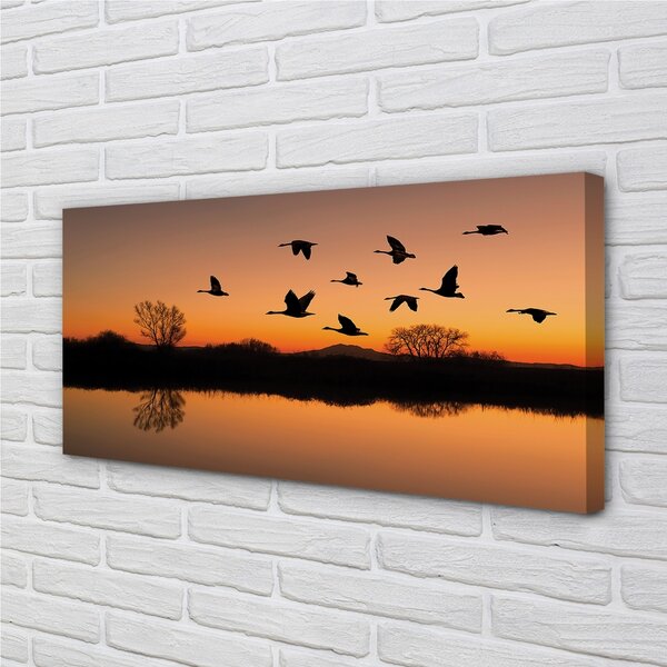 Obraz na plátne Lietajúce vtáky sunset 100x50 cm