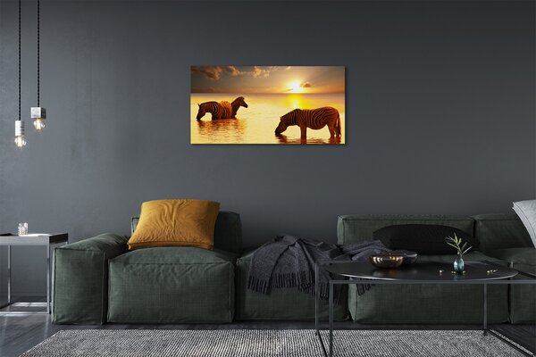 Obraz na plátne Zebry voda západ slnka 100x50 cm