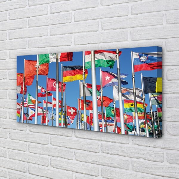 Obraz canvas vlajka 100x50 cm