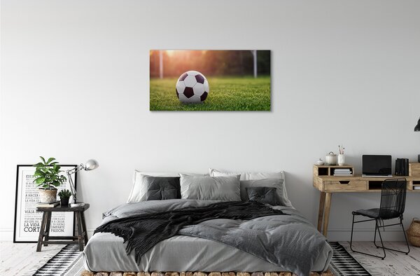 Obraz canvas Futbal tráva gateway 100x50 cm
