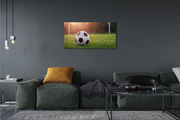 Obraz canvas Futbal tráva gateway 100x50 cm