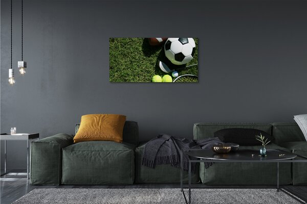 Obraz canvas Pádlo guľa tráva 100x50 cm