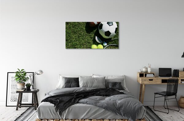 Obraz canvas Pádlo guľa tráva 100x50 cm