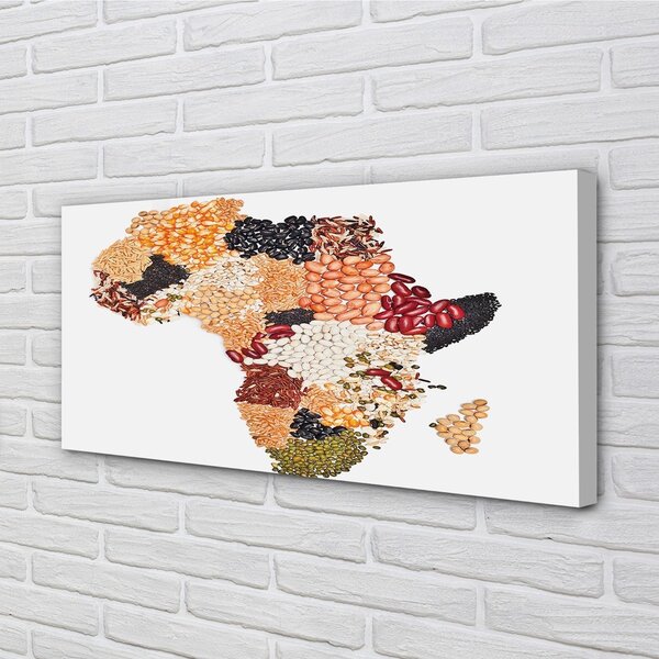 Obraz canvas mapa korenie 100x50 cm