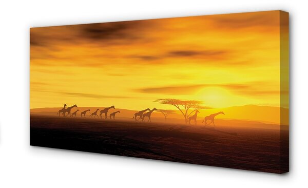 Obraz canvas Strom mraky neba žirafa 100x50 cm