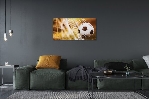 Obraz canvas Lopta žltá tráva pozadia 100x50 cm