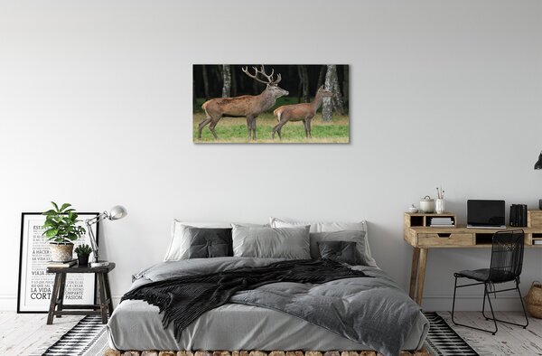 Obraz na plátne jeleň lesný 100x50 cm