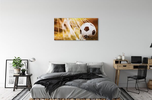 Obraz canvas Lopta žltá tráva pozadia 100x50 cm