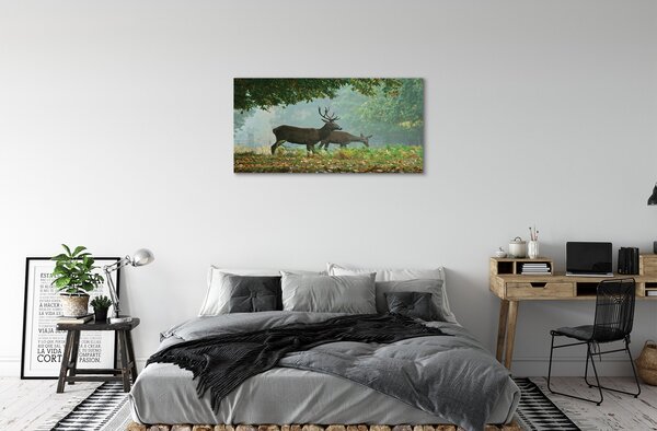 Obraz na plátne Jeleňa na jeseň les 100x50 cm