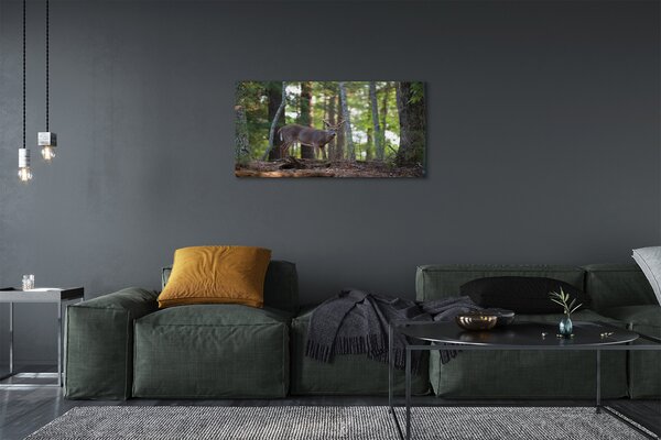 Obraz na plátne jeleň lesný 100x50 cm