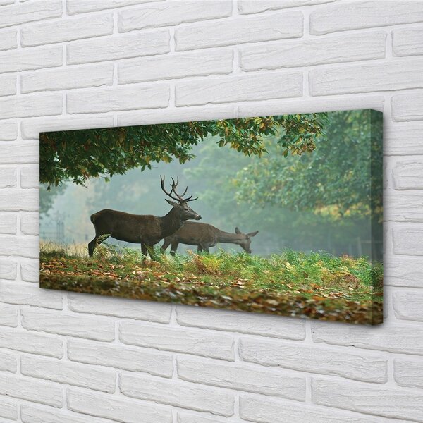Obraz na plátne Jeleňa na jeseň les 100x50 cm