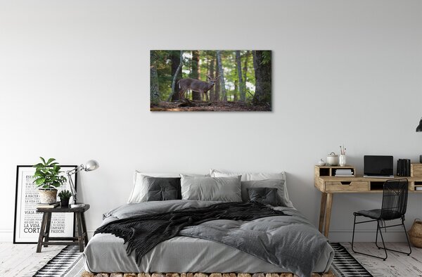 Obraz na plátne jeleň lesný 100x50 cm
