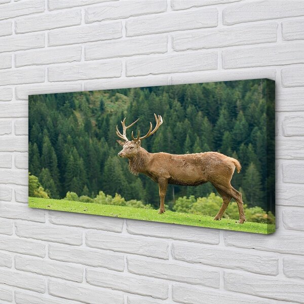 Obraz na plátne Jeleň v poli 100x50 cm