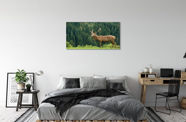 Obraz na plátne Jeleň v poli 100x50 cm