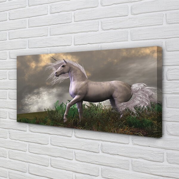 Obraz canvas Unicorn mraky 100x50 cm