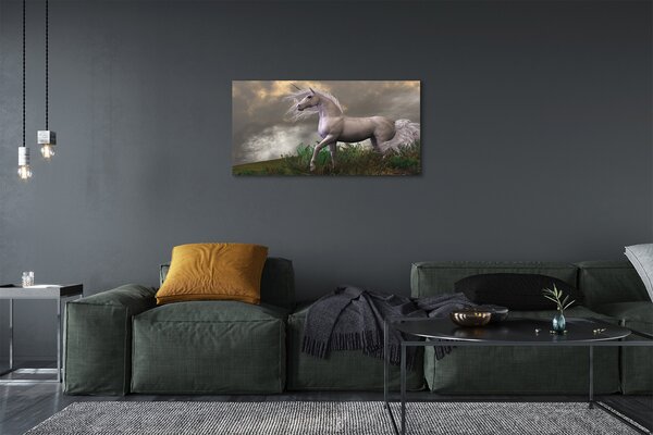 Obraz canvas Unicorn mraky 100x50 cm