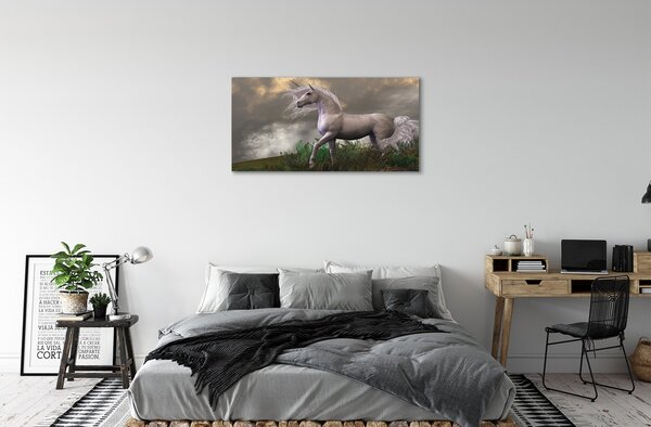 Obraz canvas Unicorn mraky 100x50 cm