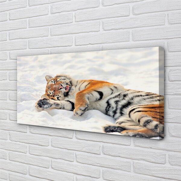 Obraz na plátne Tiger winter 100x50 cm