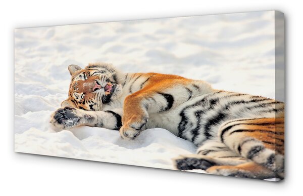 Obraz na plátne Tiger winter 100x50 cm