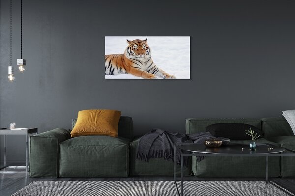 Obraz na plátne Tiger winter 100x50 cm
